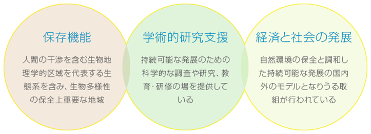 保存機能　学術的研究支援　経済と社会の発展